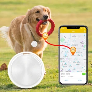 Mini Waterproof Real-Time GPS Tracker